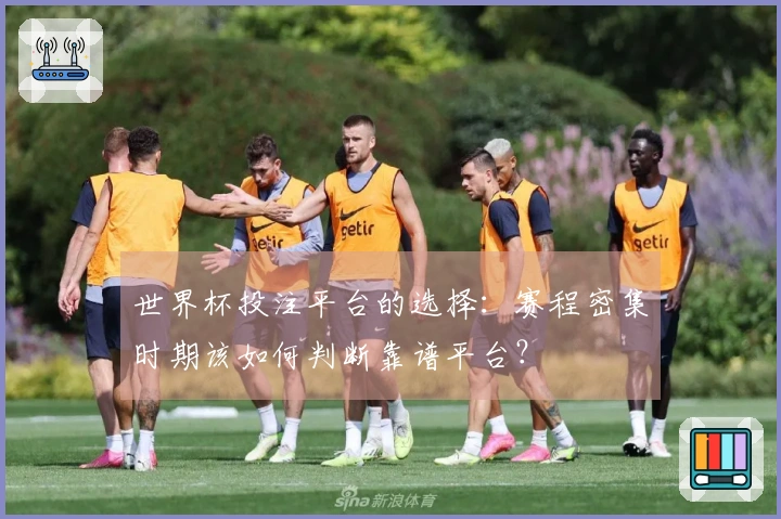 世界杯投注平台的选择：赛程密集时期该如何判断靠谱平台？