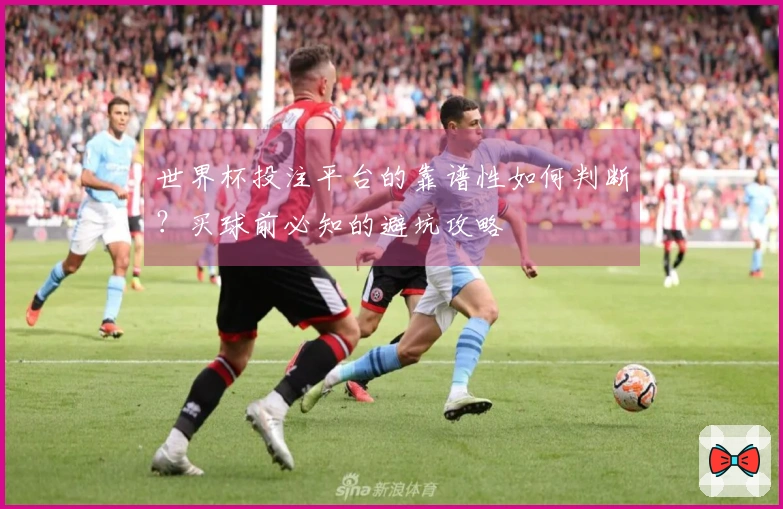世界杯投注平台的靠谱性如何判断？买球前必知的避坑攻略