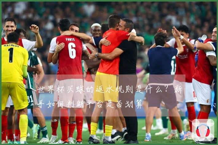 世界杯买球的返水规则是什么？新手如何判断平台是否划算
