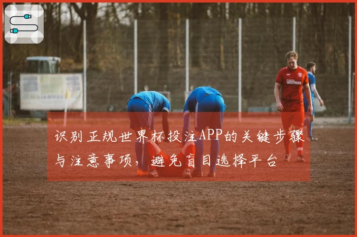 识别正规世界杯投注APP的关键步骤与注意事项，避免盲目选择平台