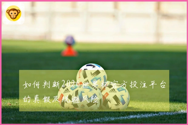 如何判断2026世界杯官方投注平台的真假及规避风险