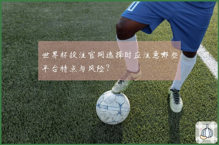 世界杯投注官网选择时应注意哪些平台特点与风险？