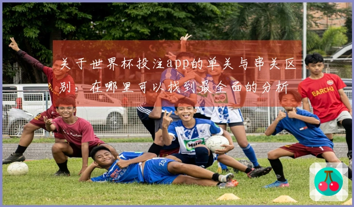 关于世界杯投注app的单关与串关区别，在哪里可以找到最全面的分析和建议？
