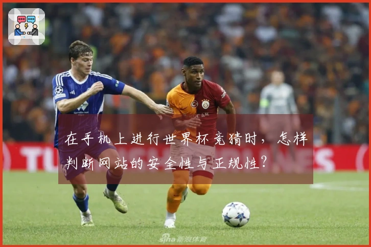 在手机上进行世界杯竞猜时，怎样判断网站的安全性与正规性？