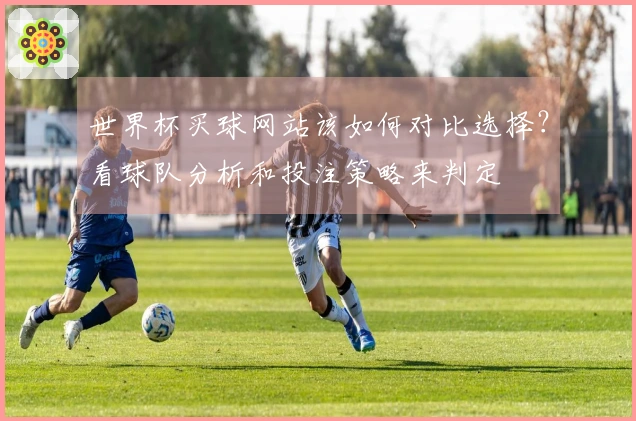 世界杯买球网站该如何对比选择？看球队分析和投注策略来判定