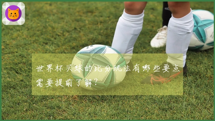 世界杯买球的比分玩法有哪些要点需要提前了解？