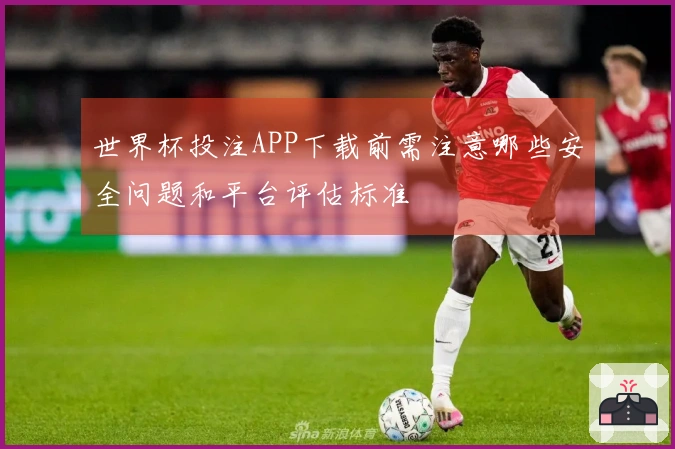 世界杯投注APP下载前需注意哪些安全问题和平台评估标准
