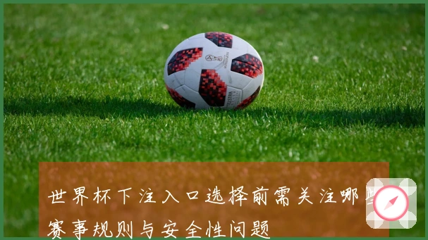 世界杯下注入口选择前需关注哪些赛事规则与安全性问题