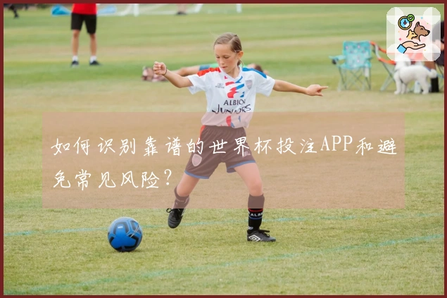如何识别靠谱的世界杯投注APP和避免常见风险？