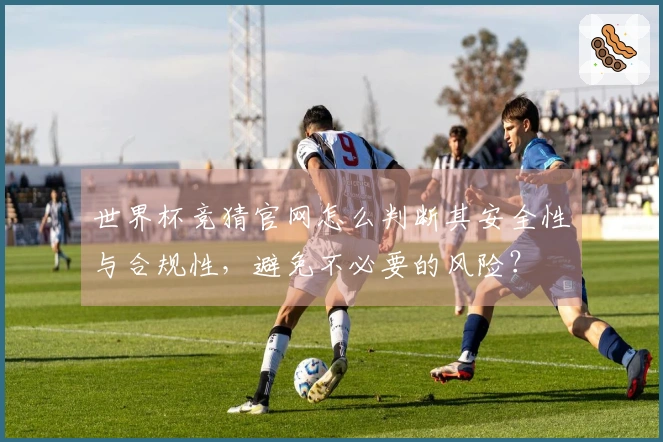 世界杯竞猜官网怎么判断其安全性与合规性，避免不必要的风险？