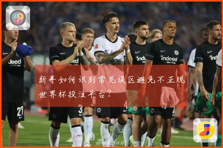 新手如何识别常见误区避免不正规世界杯投注平台？
