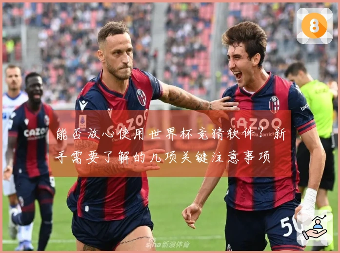 能否放心使用世界杯竞猜软件？新手需要了解的几项关键注意事项