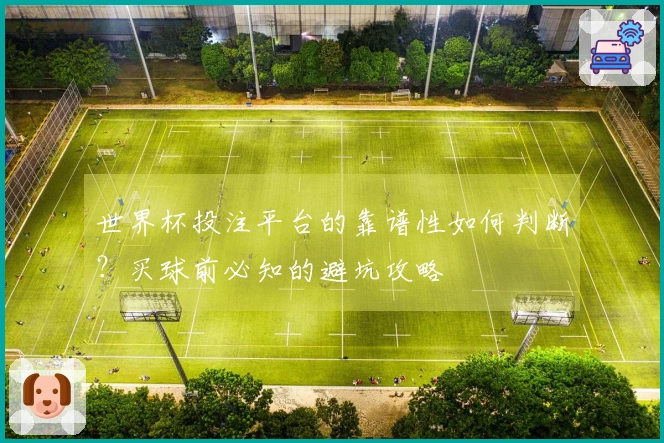世界杯投注平台的靠谱性如何判断？买球前必知的避坑攻略