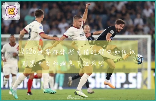 2026世界杯体彩竞猜过程中如何识别黑平台和避免下注风险