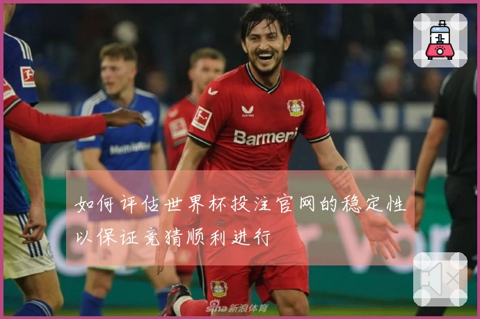 如何评估世界杯投注官网的稳定性以保证竞猜顺利进行