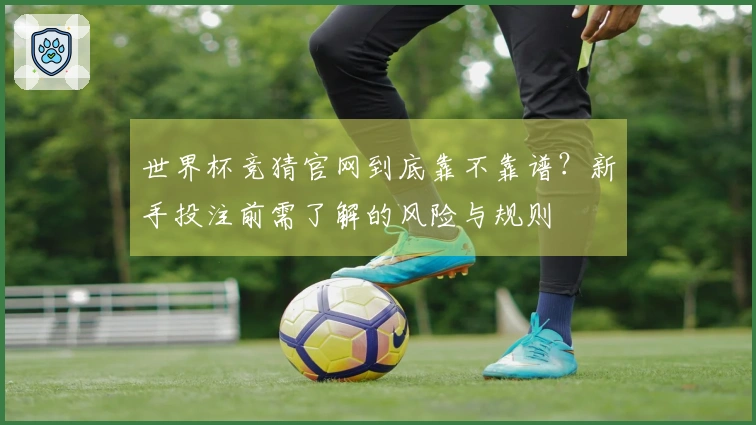 世界杯竞猜官网到底靠不靠谱？新手投注前需了解的风险与规则
