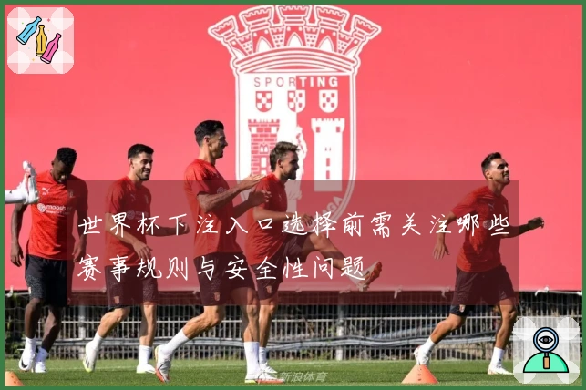 世界杯下注入口选择前需关注哪些赛事规则与安全性问题