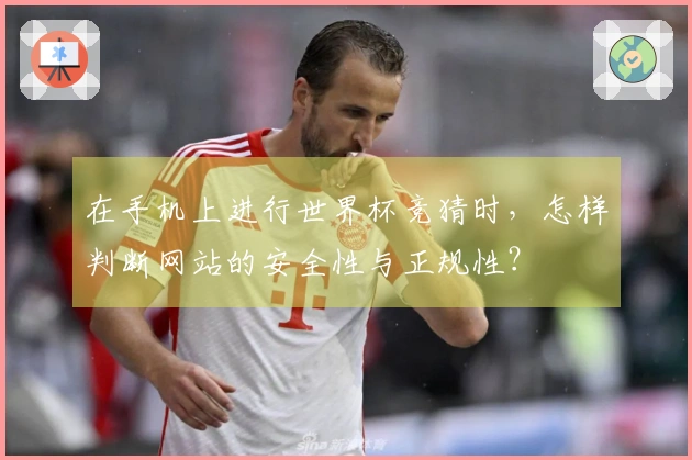 在手机上进行世界杯竞猜时，怎样判断网站的安全性与正规性？