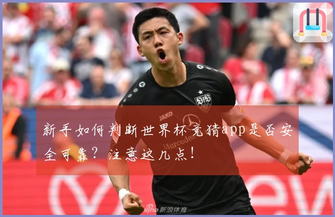 新手如何判断世界杯竞猜app是否安全可靠？注意这几点！