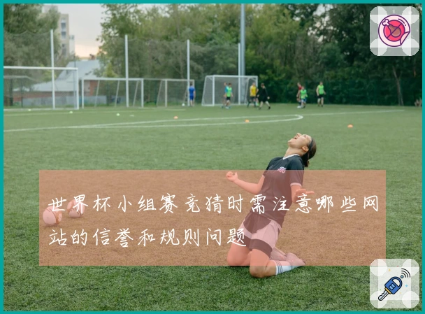 世界杯小组赛竞猜时需注意哪些网站的信誉和规则问题