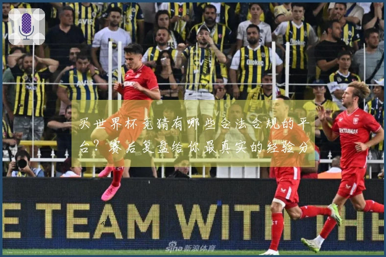 买世界杯竞猜有哪些合法合规的平台？赛后复盘给你最真实的经验分享